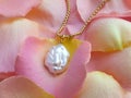 Luxury elegant baroque pearl pendant with golden chain on pink yellow rose petals Royalty Free Stock Photo