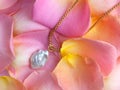 Luxury elegant baroque pearl pendant with golden chain on pink yellow rose petals Royalty Free Stock Photo