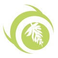 Elegant Leaf Logo On the Circle Royalty Free Stock Photo