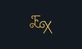 Luxury fashion initial letter EX logo