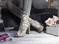 Luxury female high heel shoes made from snake skin Royalty Free Stock Photo