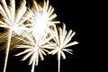 Luxury fireworks event sky show with yellow palm trees stars