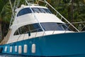 Luxury fishing boat with blue hull