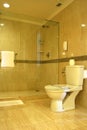 Luxury five star hotel bath room