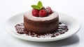 Luxury French dessert Chocolate souffle on plate, gourmand food