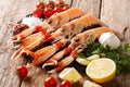 Luxury fresh raw langoustine, scampi with ingredients close-up o Royalty Free Stock Photo