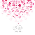 Luxury fresh rose petals romantic vector card