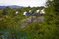 Luxury glamping camp on the forest in Chile