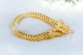 Luxury gold bracelet, Golden Dragon Pixiu or Pi Yao on white background