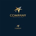 Luxury Gold Letter A and Star Logo Template