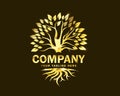Luxury gold root and tree logo design template
