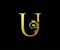 Luxury Gold U Letter Logo . Initial Letter U Design Luxury Icon.