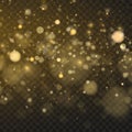 Luxury golden glitter explosion and sparkling dust cloud overlay. Vector Royalty Free Stock Photo