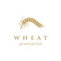 Luxury Golden Grain Wheat / Rice Logo Design