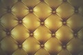 Luxury golden leather Royalty Free Stock Photo