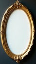 Luxury golden oval picture frame, perfect for design , isolated, framework Royalty Free Stock Photo