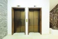 Luxury golden passenger lift door