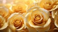 luxury golden roses background