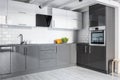 Gray kitchen with brick wall Royalty Free Stock Photo