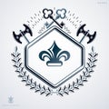 Luxury heraldic vector emblem template made using hatchets and s
