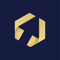 Luxury Hexagon Arrow Logo Design Template