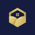 Luxury Hexagon Real Estate Logo Design Template
