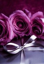 Luxury holiday silver gift box and pink roses as Christmas, Valentines Day or birthday present Royalty Free Stock Photo