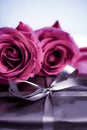 Luxury holiday silver gift box and pink roses as Christmas, Valentines Day or birthday present