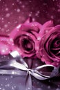 Luxury holiday silver gift box and pink roses as Christmas, Valentines Day or birthday present Royalty Free Stock Photo