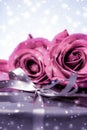 Luxury holiday silver gift box and pink roses as Christmas, Valentines Day or birthday present Royalty Free Stock Photo