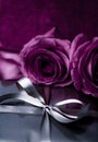 Luxury holiday silver gift box and purple roses as Christmas, Valentines Day or birthday present Royalty Free Stock Photo