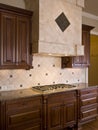 Luxury Home Interior Burner Vent Hood