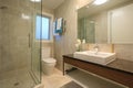 Luxury home washroom