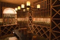 Luxury home wine cellar.
