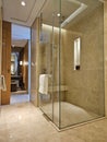 Luxury Hotel Shower Bathroom Booth