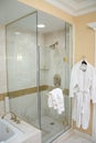 Luxury Hotel Shower and Robe