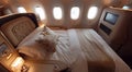 Luxury interior of business first class airplane or private jet with double bed in prive room.Macro.AI Generative