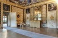 Luxury interior in Stupinigi royal hunting palace