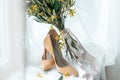 Luxury ivory shoes and bride jewel on the table