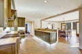 Luxury khaki kitchen interior with spaciuos dining area