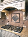 Luxury Kitchen Cooktop with Hood 2