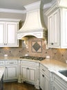 Luxury Kitchen Cooktop with Hood