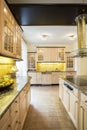 Luxury kitchen in traditional design
