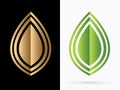 Luxury Leaf illustration graphic vector