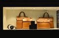 fashionable Luxury leather handbag Belt Wallet in shop window lit up by led light ,handbag store,shopping,clothing shop Royalty Free Stock Photo