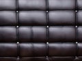 luxury leather sofa in black and white Royalty Free Stock Photo