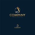 Luxury Letter A Logo Design Template