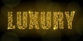 Luxury. Letters  from a floral ornament with golden glitter and sparks on a dark background with bokeh. Royalty Free Stock Photo