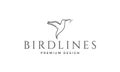 Luxury lines bird hummingbird logo symbol vector icon illustration graphic design Royalty Free Stock Photo