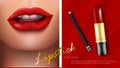 Luxury Lipstick Cosmetics Make Up Beauty Product